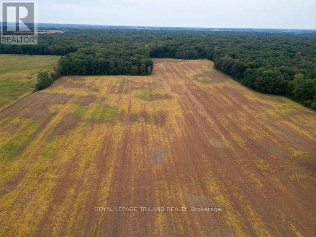 975 Concession Drive, Southwest Middlesex, photo 2
