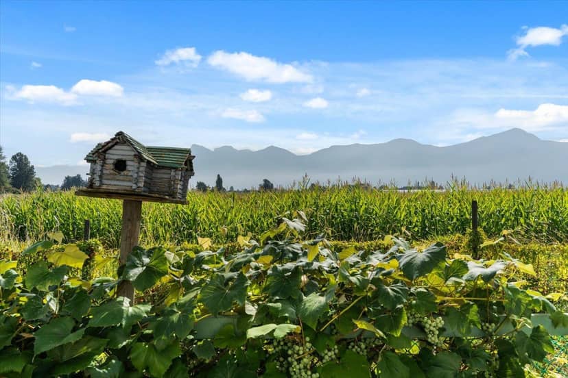 46702 ARBUTUS AVENUE, Chilliwack Proper South, Chilliwack
