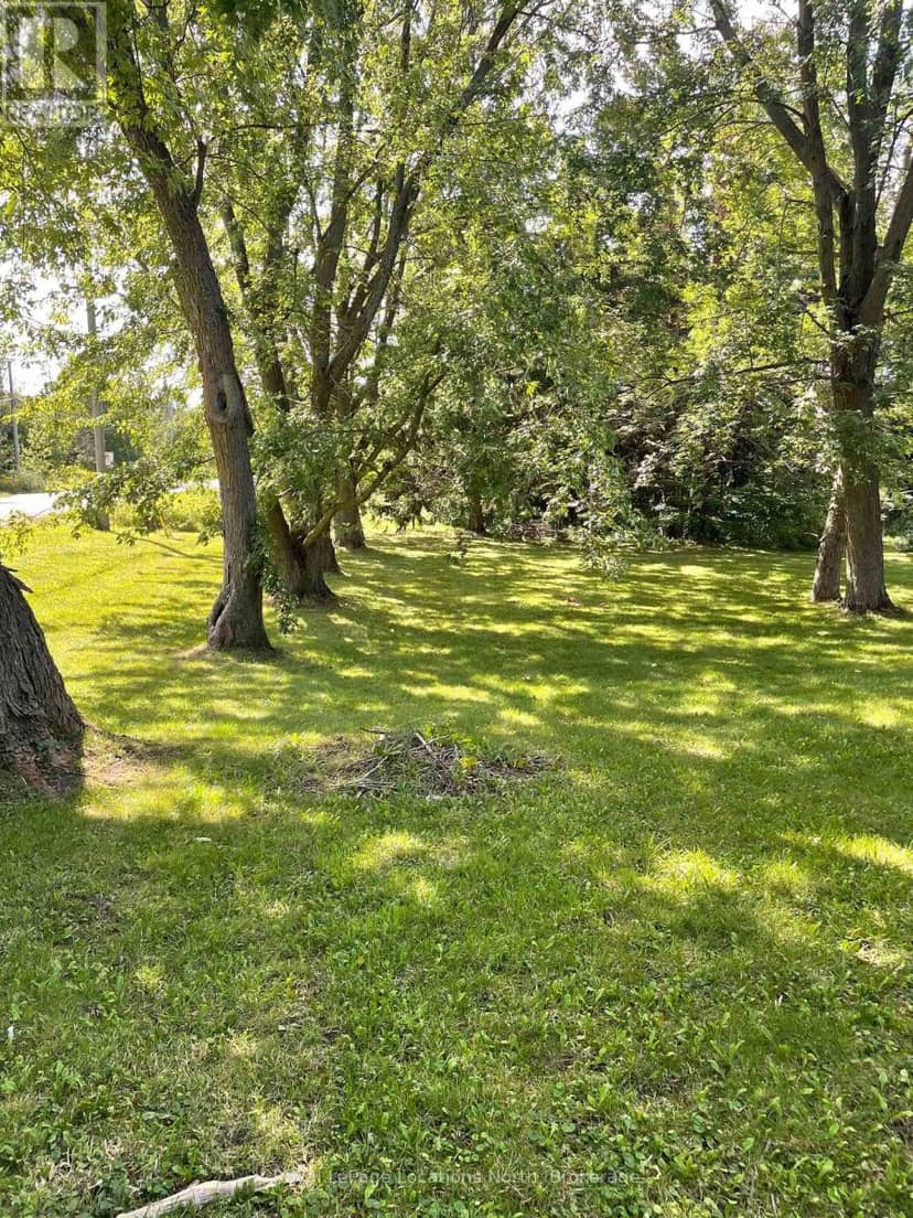 9038 County Rd 91 Road, Clearview, photo 7