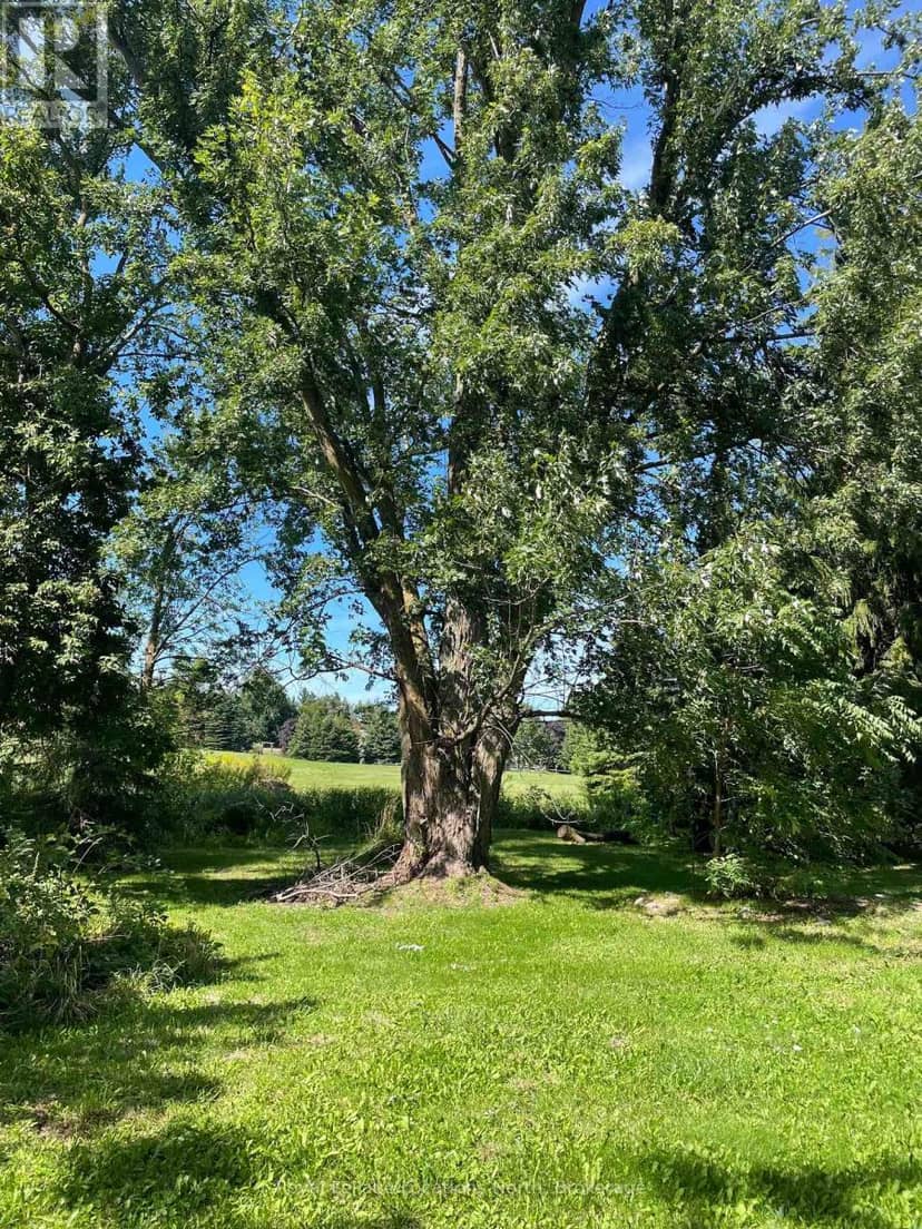 9038 County Rd 91 Road, Clearview, photo 8