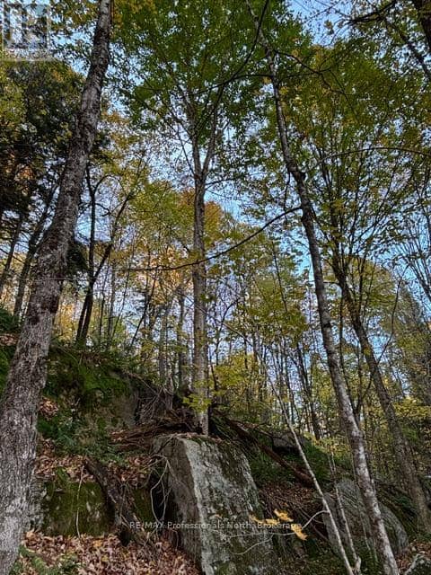 1231 Big Hawk Lake Road — photo 22 of 25
