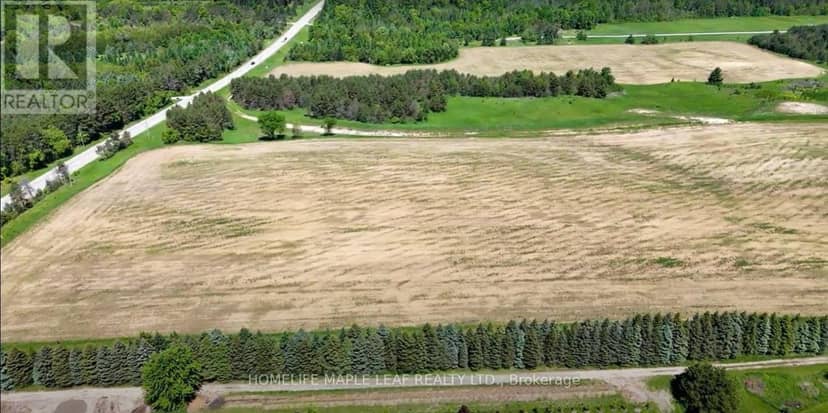 938433 And 938453 Airport Road, Mulmur, photo 2