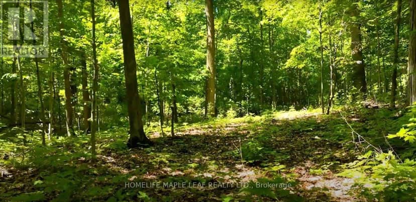 938433 And 938453 Airport Road, Mulmur, photo 6
