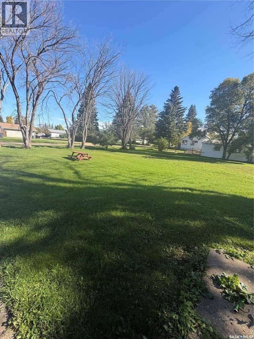 403 & 401 Main STREET, Pelly, photo 7