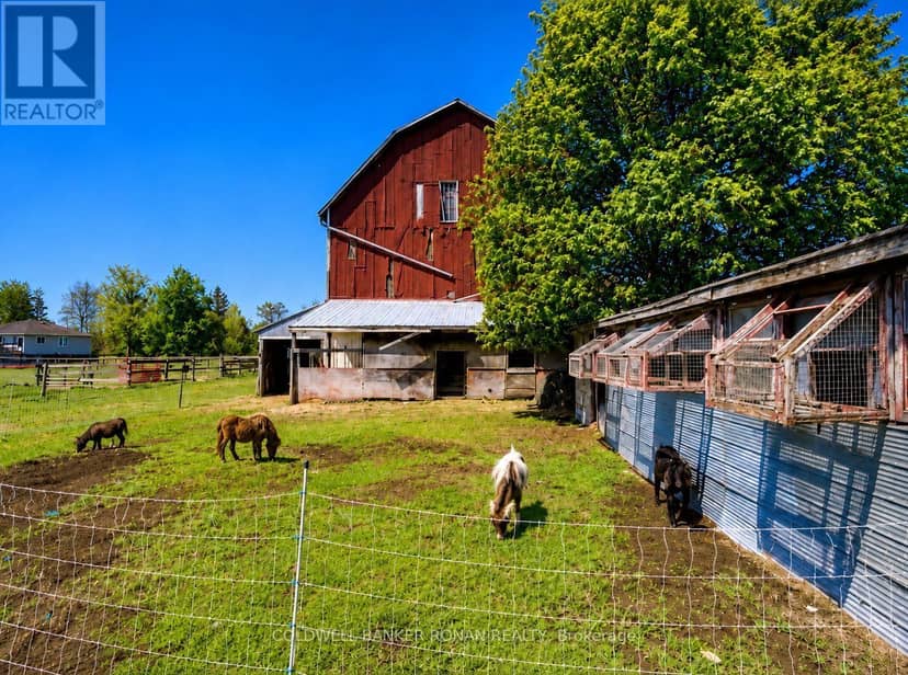 6703 Pine Plains Road E, Adjala-Tosorontio, photo 4