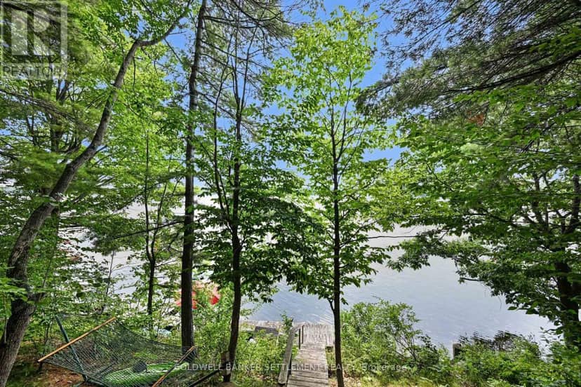 599 Black Lake Road — photo 9 of 40