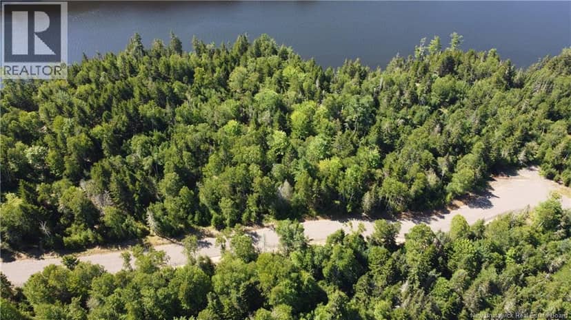Osprey Lane — photo 15 of 36
