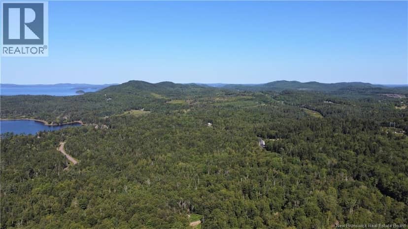 Osprey Lane — photo 20 of 36