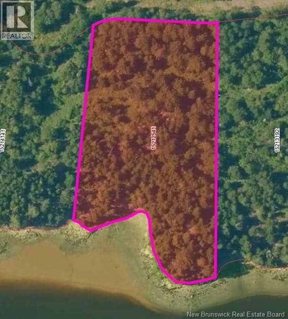 Osprey Lane — photo 31 of 36