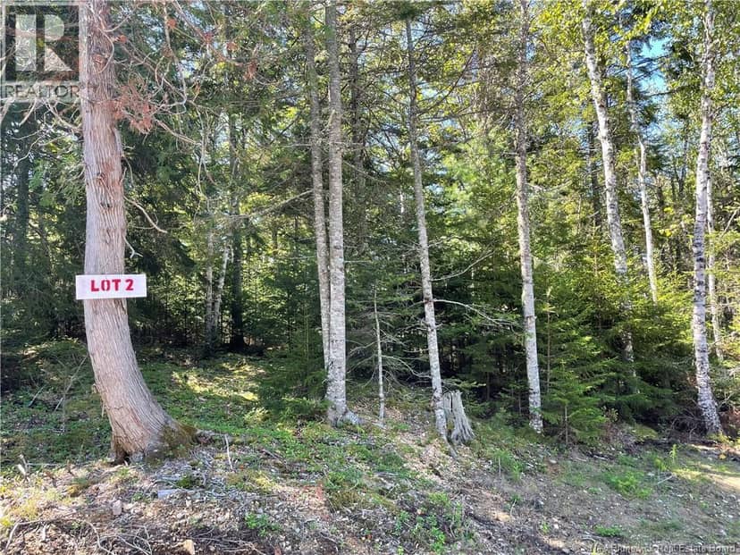 Osprey Lane, St. George, photo 7