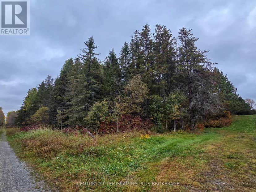 Shalf Lt 6 Con 2 Day Mar Road, Englehart, photo 4