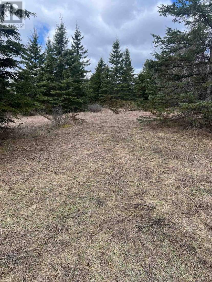 00 Centre Dummer Road — photo 11 of 12