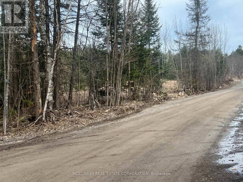 00 Centre Dummer Road, Douro-Dummer, photo 5