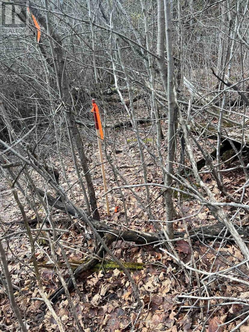 00 N. Dummer 7th Line Road — photo 14 of 21