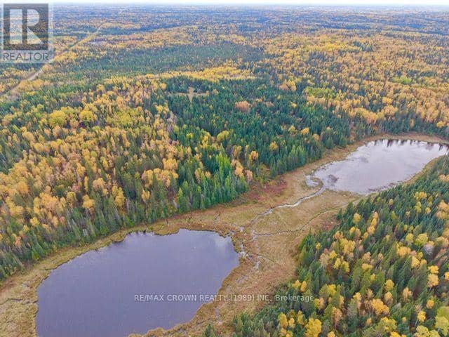 Lt 7 Hanlan Township — photo 10 of 13