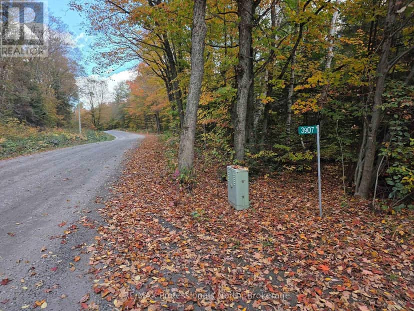 3907 Stisted Road, McMurrich/Monteith, photo 2