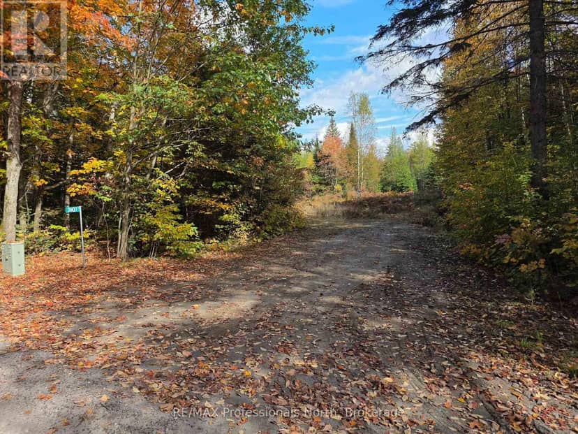 3907 Stisted Road, McMurrich/Monteith, photo 4