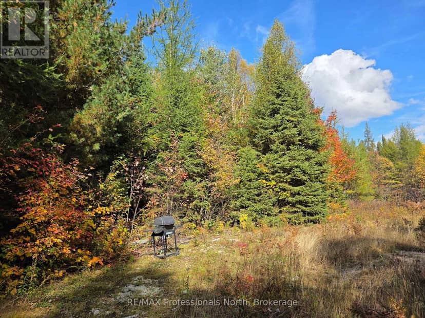 3907 Stisted Road, McMurrich/Monteith, photo 6
