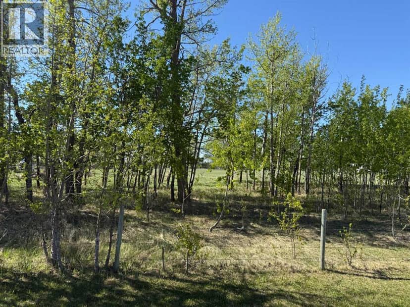 On Township Road 432, Rural Ponoka County, photo 5