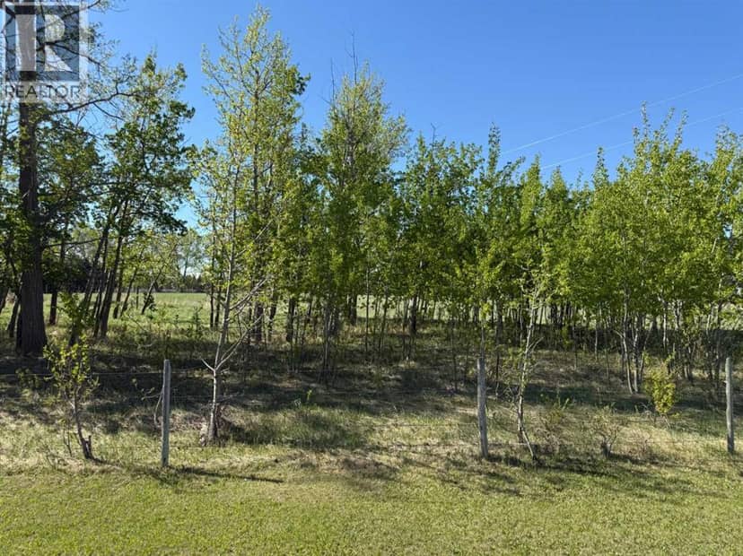 On Township Road 432, Rural Ponoka County, photo 4