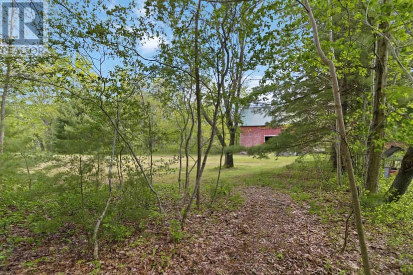 Lot 11 Kinburn Street — photo 10 of 35