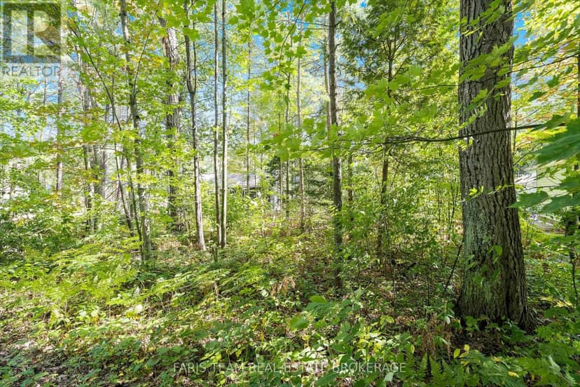 Lot 9 James Street — photo 12 of 18
