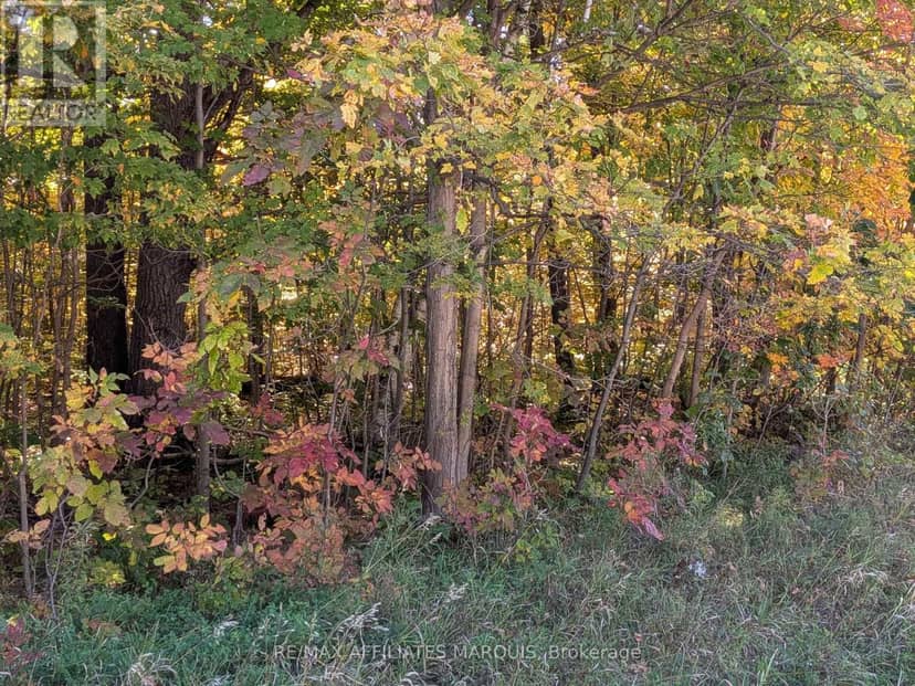 0 Highway 15 Road — photo 16 of 17