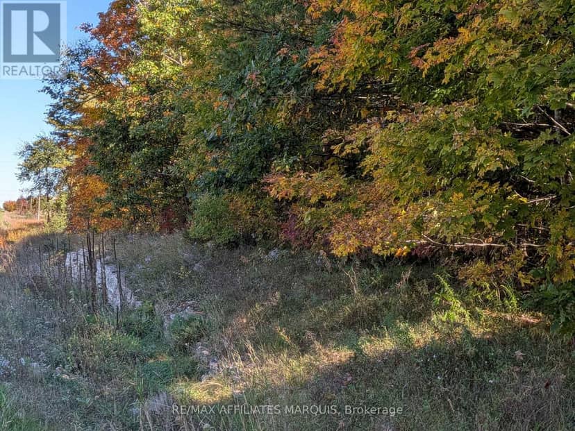 0 Highway 15 Road — photo 3 of 17