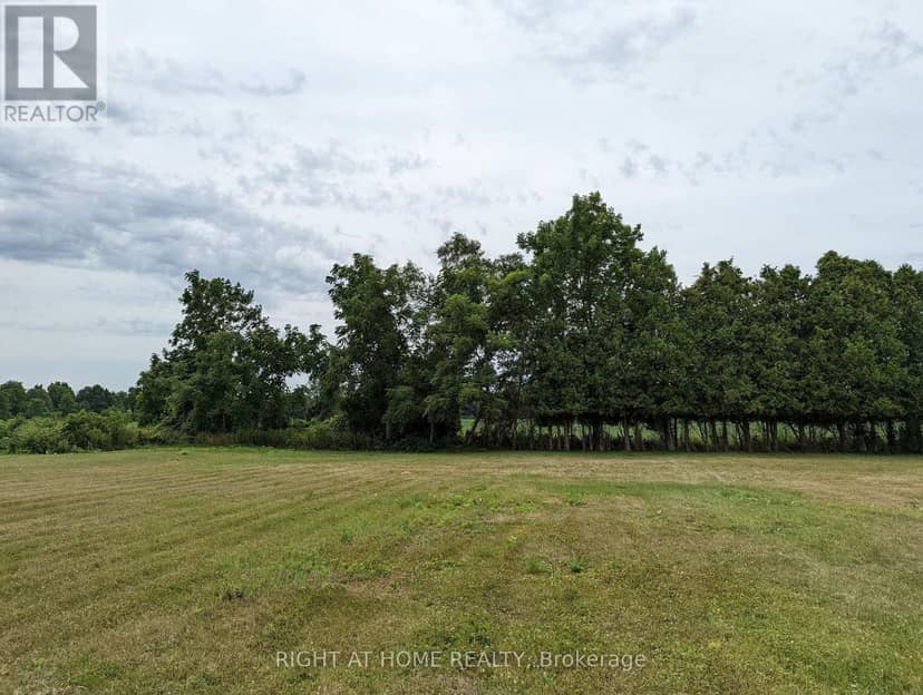 392 Second Street, Strathroy-Caradoc, photo 3