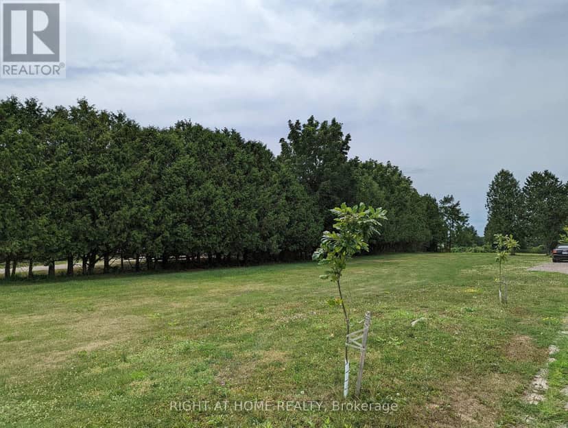 392 Second Street, Strathroy-Caradoc, photo 5