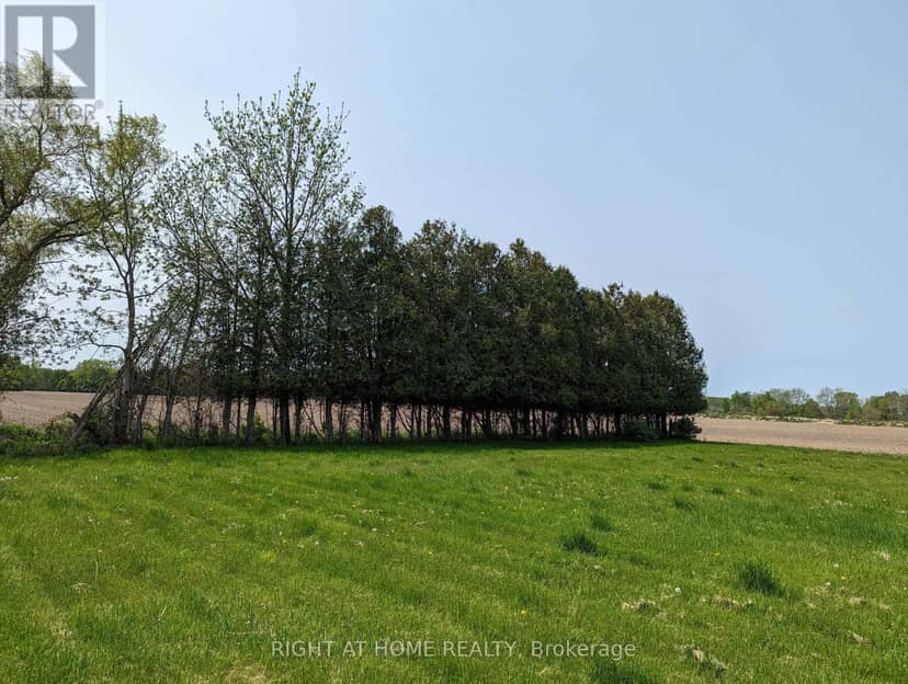 392 Second Street, Strathroy-Caradoc, photo 7
