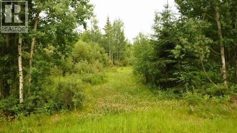Range Road 231, Rural Greenview No. 16, M.D. of, photo 2