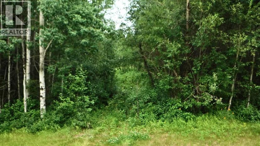 Range Road 231, Rural Greenview No. 16, M.D. of, photo 3