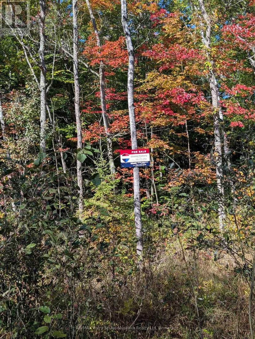 0 Sugar Lake Road — photo 1 of 25