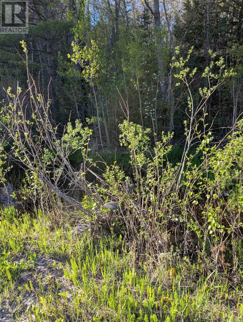 0 Sugar Lake Road — photo 18 of 25