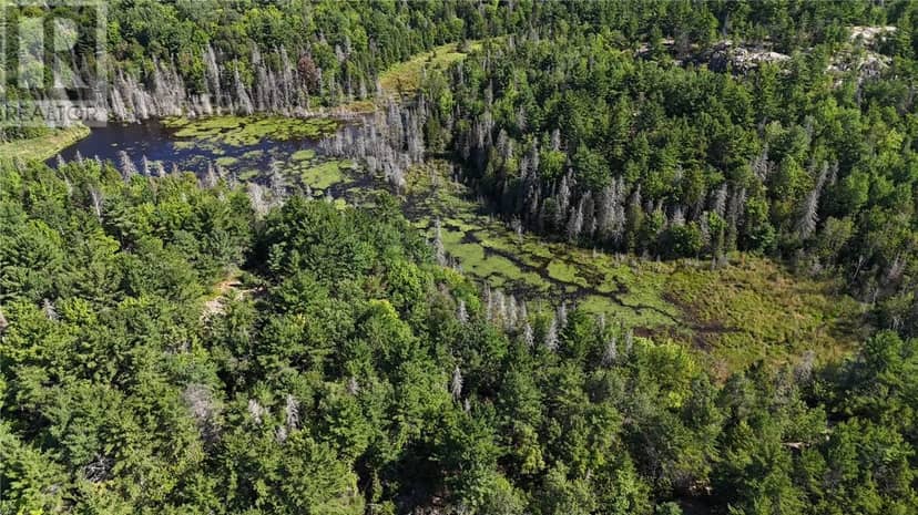 N/A Hwy 17/Beckerton Shooting Range Rd — photo 22 of 40
