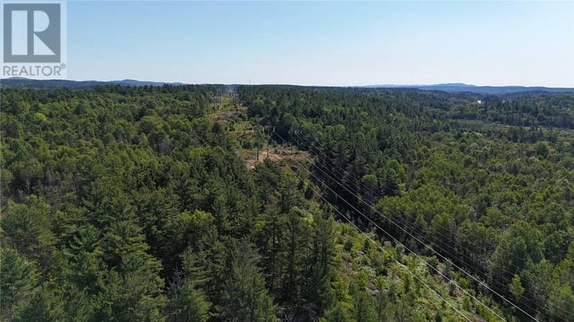 N/A Hwy 17/Beckerton Shooting Range Rd — photo 17 of 40