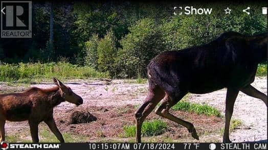 N/A Hwy 17/Beckerton Shooting Range Rd — photo 19 of 40