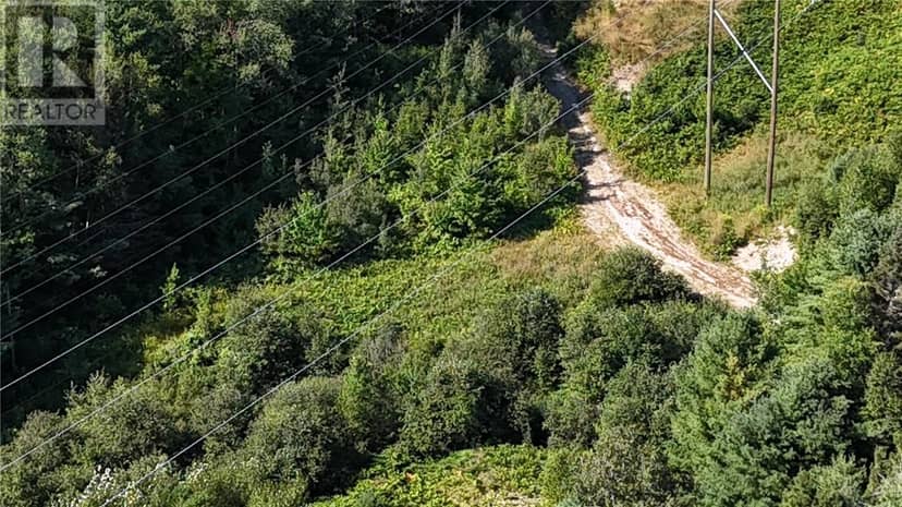 N/A Hwy 17/Beckerton Shooting Range Rd — photo 12 of 40