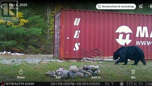 N/A Hwy 17/Beckerton Shooting Range Rd — photo 28 of 40