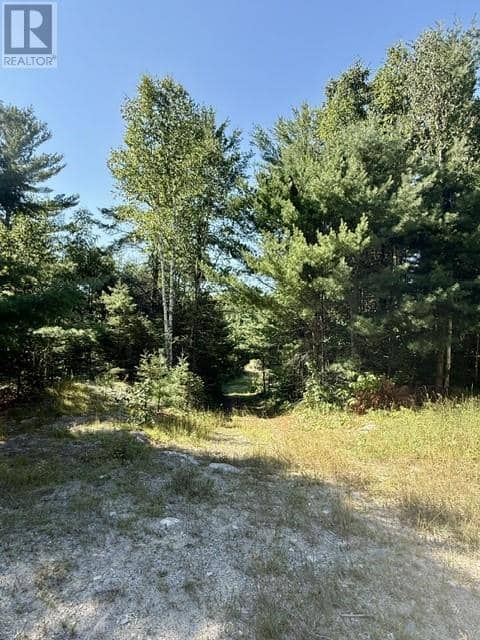 N/A Hwy 17/Beckerton Shooting Range Rd — photo 39 of 40
