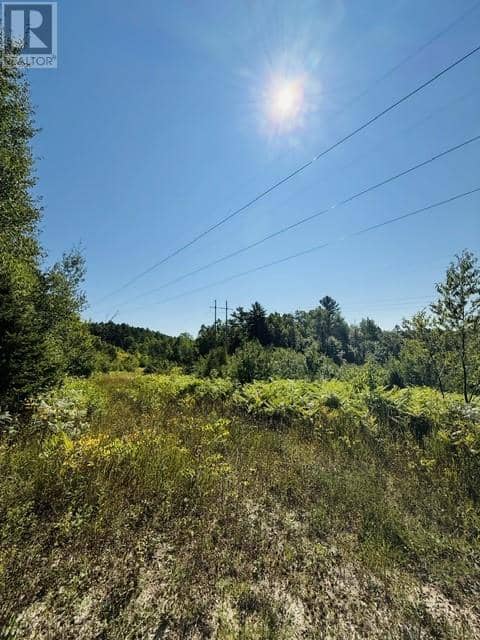 N/A Hwy 17/Beckerton Shooting Range Rd, Spanish, photo 4