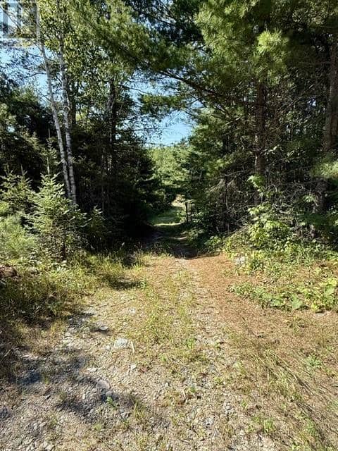N/A Hwy 17/Beckerton Shooting Range Rd — photo 40 of 40