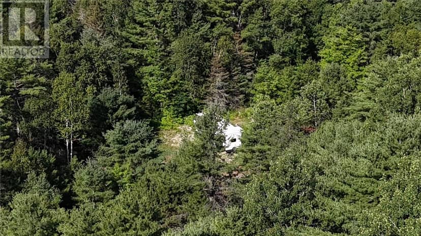 N/A Hwy 17/Beckerton Shooting Range Rd — photo 9 of 40