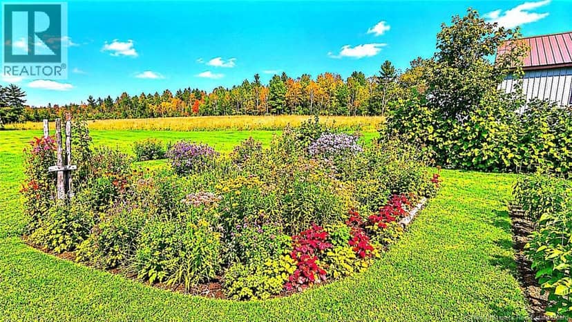 482 ch Tilley Road — photo 36 of 36