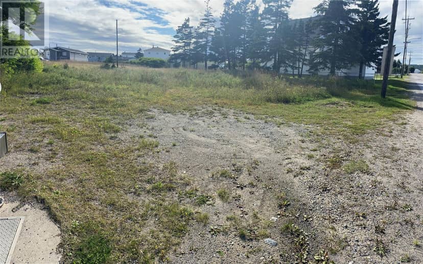 25 Main Street, Stephenville Crossing, photo 3