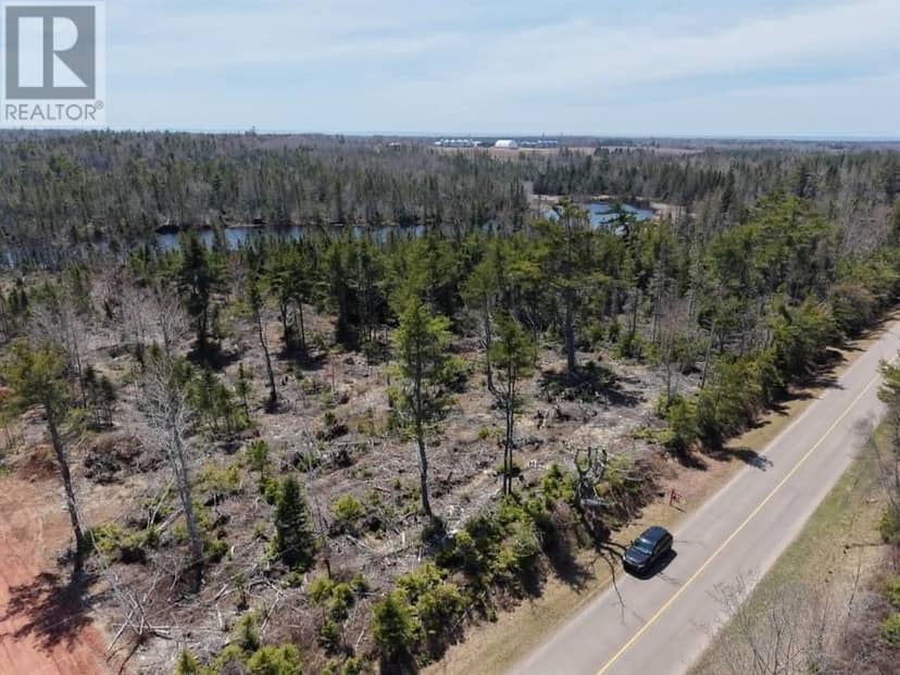 3307 Douses Road, Belle River, photo 2