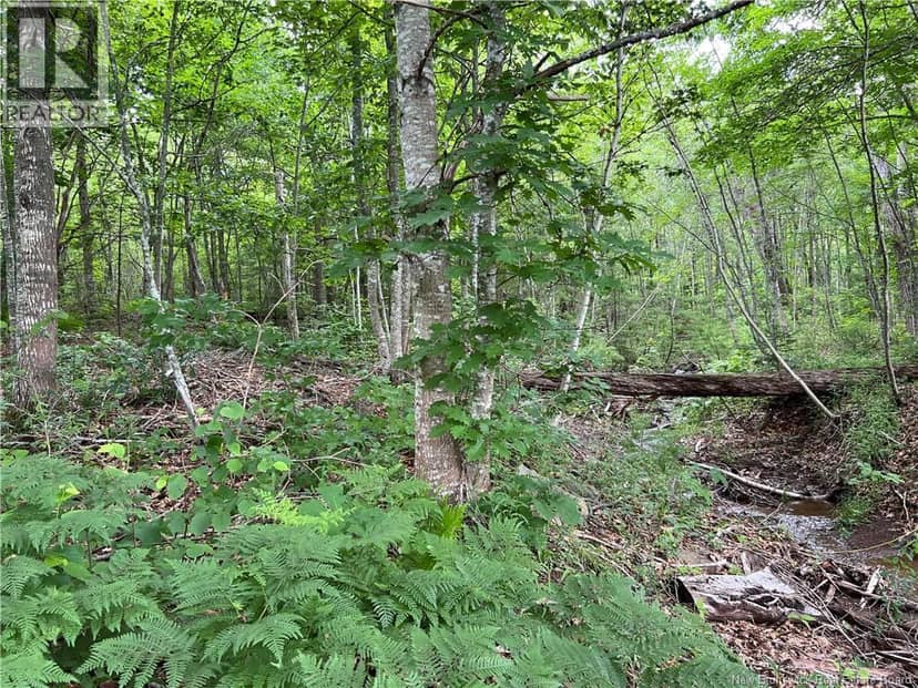 Vacant lot Lakeview Road — photo 15 of 37