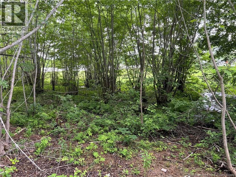 Vacant lot Lakeview Road — photo 17 of 37