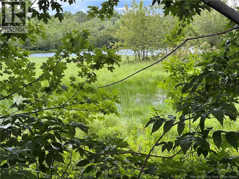 Vacant lot Lakeview Road — photo 20 of 37